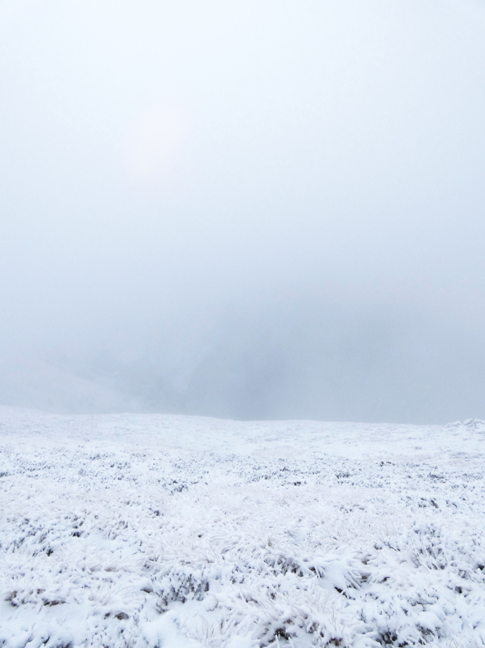 Neige